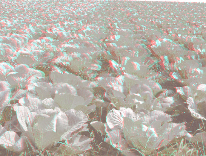 3D: Les casques