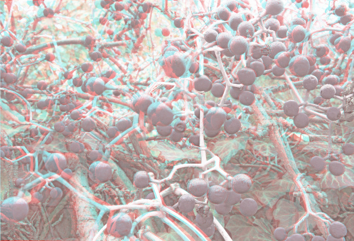 3D: Les casques